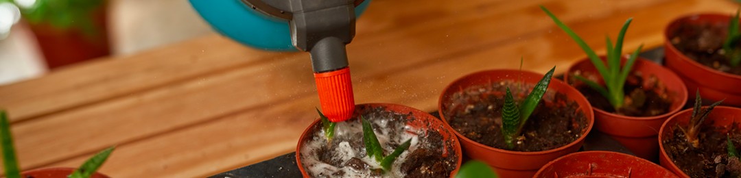 Cos’è il concime liquido e come utilizzarlo al meglio