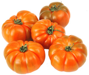 Pomodoro Insalataro - Foto 1