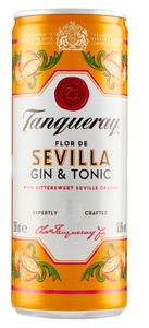 Aperitivo Sevilla & Tonic Tanqueray - Foto 1