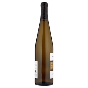 Pignoletto Doc Frizzante Rose Di Bacco Chiarli - Foto 2