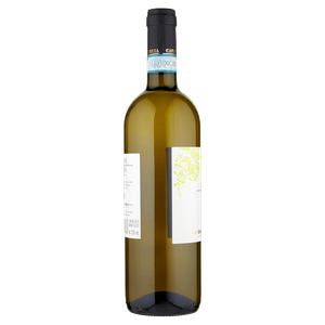 Langhe Arneis Casati Moglia Doc - Foto 2