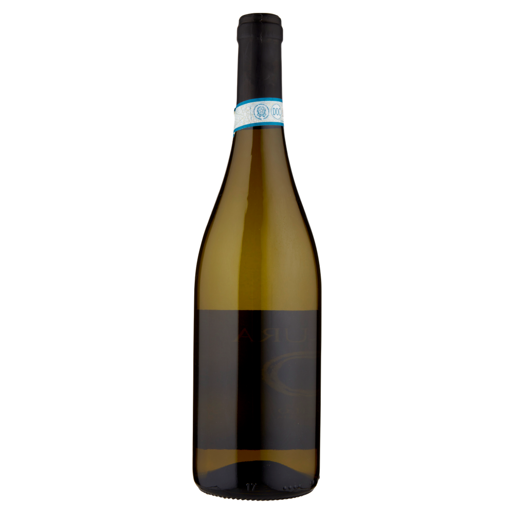 Vino Bianco Griillo Doc Sicilia Cantine Birgi - Foto 3