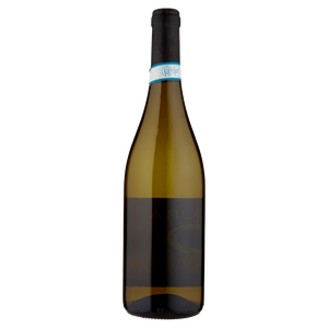 Vino Bianco Griillo Doc Sicilia Cantine Birgi - Foto 3