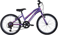 Mountain Bike Ragazza Mountain Bike Ragazza