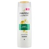 SH.PNT LISCI SET.400 - Foto 1 di 3