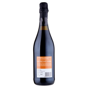 Lambrusco Grasparossa Ducati Emiliani Doc - Foto 3
