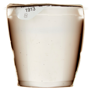 Bennet Vivisi Yogurt Probiotico Funzione Intestinale Cerali