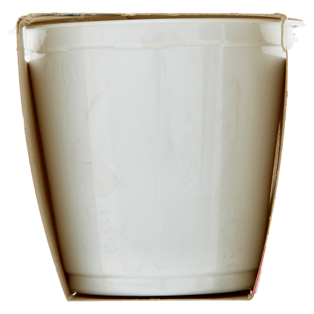 Yogurt Bianco Senza Lattosio 2x125g Bennet Vivisì - Foto 2