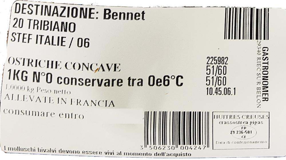 Ostriche Concave Di Bretagna - Foto 2