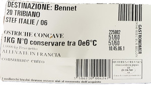 Ostriche Concave Di Bretagna - Foto 2