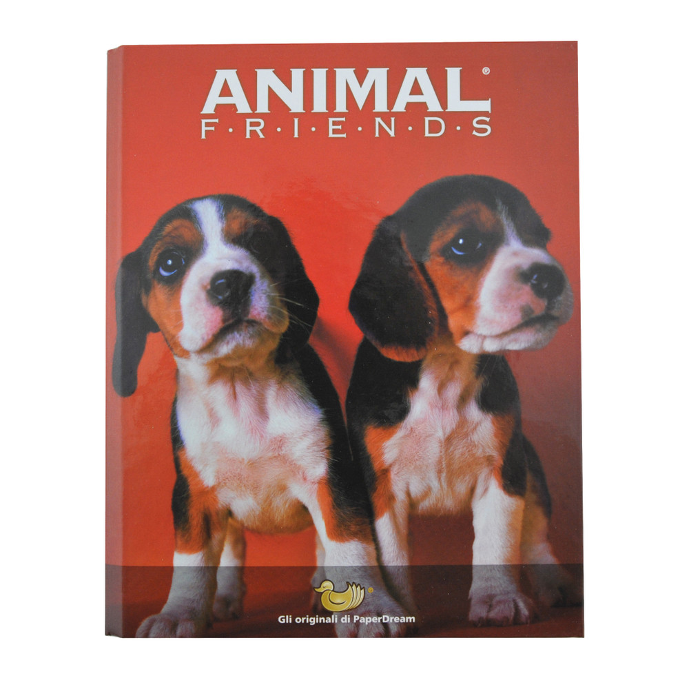 Quaderno Raccoglitore Ad Anelli A5 Animal Friends - Foto 1