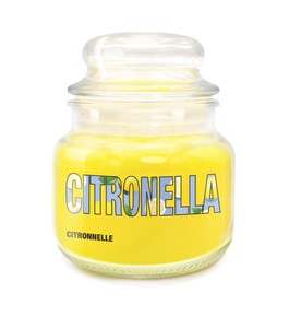 Giara Citronella Piccola - Foto 1