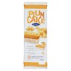 Plumcake All'albicocca Senza Glutine Bononia