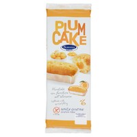 Plumcake All ' albicocca Senza Glutine Bononia Plumcake All ' albicocca Senza Glutine Bononia