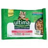 Ultima Cat Wet Expert Nutrition Benessere Digestivo Conf. Da 4