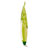 Pinoli Noberasco In Busta
