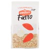PEDON SALVA.FARRO - Foto 1 di 3