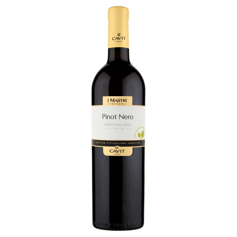 Pinot Nero Trentino Mastri Vernacoli Cavit - Foto 1