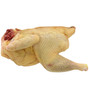 GALLINA A META'