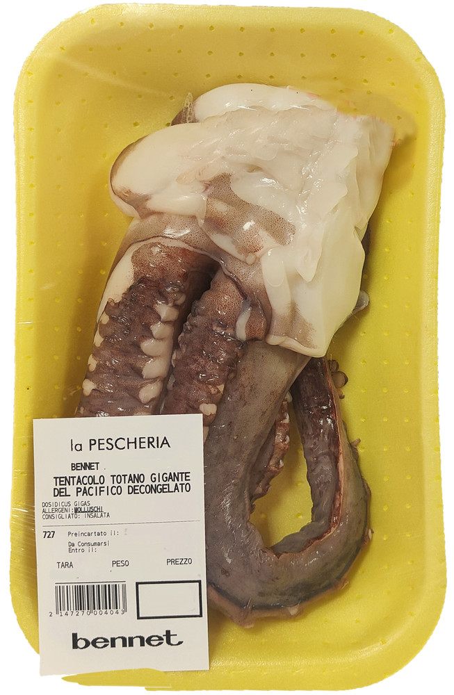 Tentacolo Di Totano Gigante Del Pacifico Decongelato - Foto 2