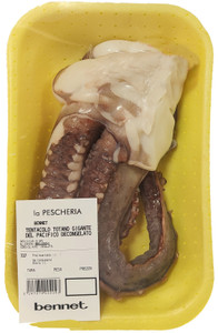 Tentacolo Di Totano Gigante Del Pacifico Decongelato - Foto 2