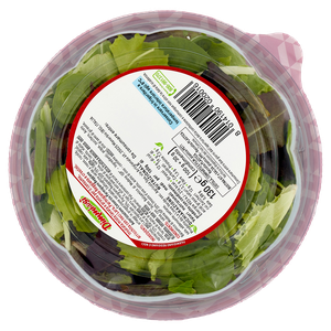 Piatto Unico Parmiggiano Reggiano E Noci - Foto 3