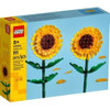 GIRASOLI - Foto 1 di 1