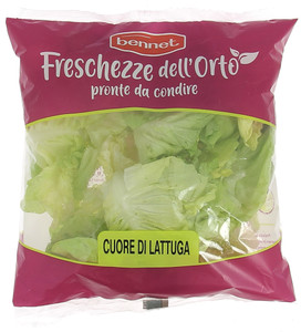 Insalata Cuore Di Lattuga Bennet - Foto 1
