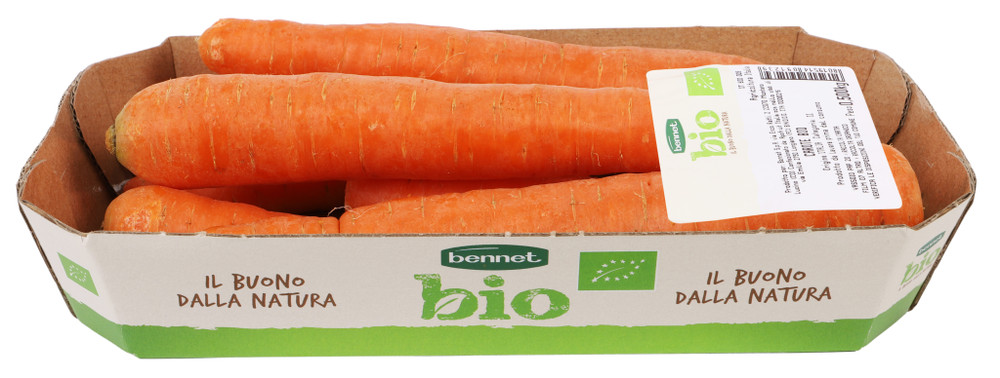 Carote Bennet Bio - Foto 2
