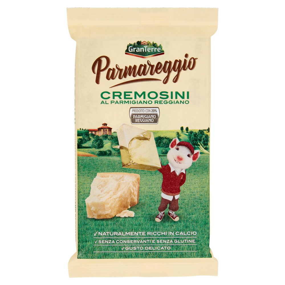 Formaggini Cremosini Al Parmigiano Reggiano Parmareggio - Foto 1