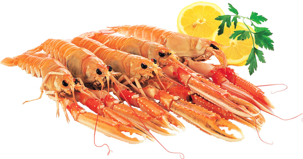 Scampi Decongelati - Foto 1
