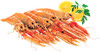 Scampi Decongelati