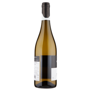 Sauvignon Doc Isonzo Mandi - Foto 2