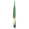*C*GRATTI'IO VEG - Foto 2 di 3