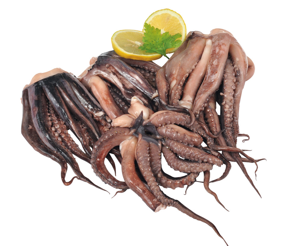 Tentacolo Di Totano Gigante Del Pacifico Decongelato - Foto 1