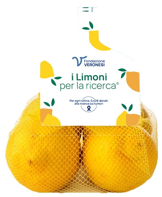 Limoni Per La Ricerca In Rete - Foto 1