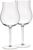 2 Calici Degustazione Cl.64