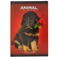 Quaderno Maxi Rigo A Animal Friends Quaderno Maxi Rigo A Animal Friends
