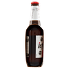 Birra Ichnusa 3x33cl