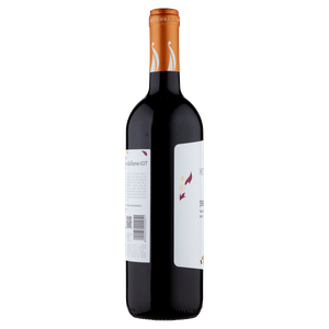 Syrah Sicilia Doc Cantine Settesoli - Foto 2