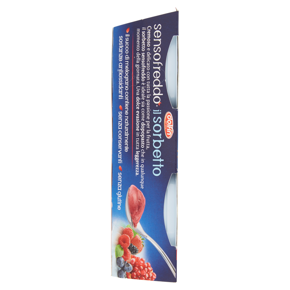 Sorbetto Melograno E Frutti Di Bosco Senso Freddo - Foto 2