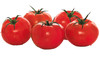Pomodoro Insalataro