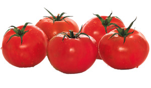 Pomodoro Insalataro - Foto 1