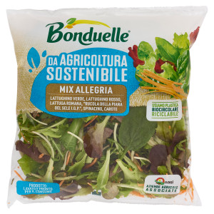Insalata Mix Allegria Busta - Foto 1