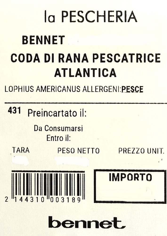 Coda Di Rana Pescatrice Atlantica