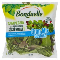 Insalata Gran Mix Gustoso Insalata Gran Mix Gustoso