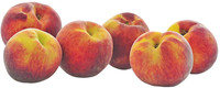 Pesche Polpa Gialla ( vendita A Cartoncino Intero ) Pesche Polpa Gialla ( vendita A Cartoncino Intero )