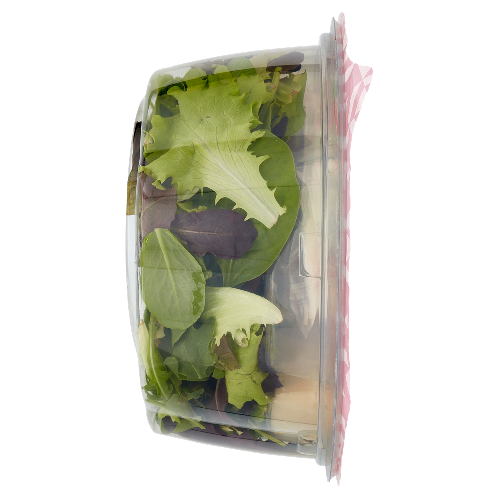 Piatto Unico Parmiggiano Reggiano E Noci - Foto 2