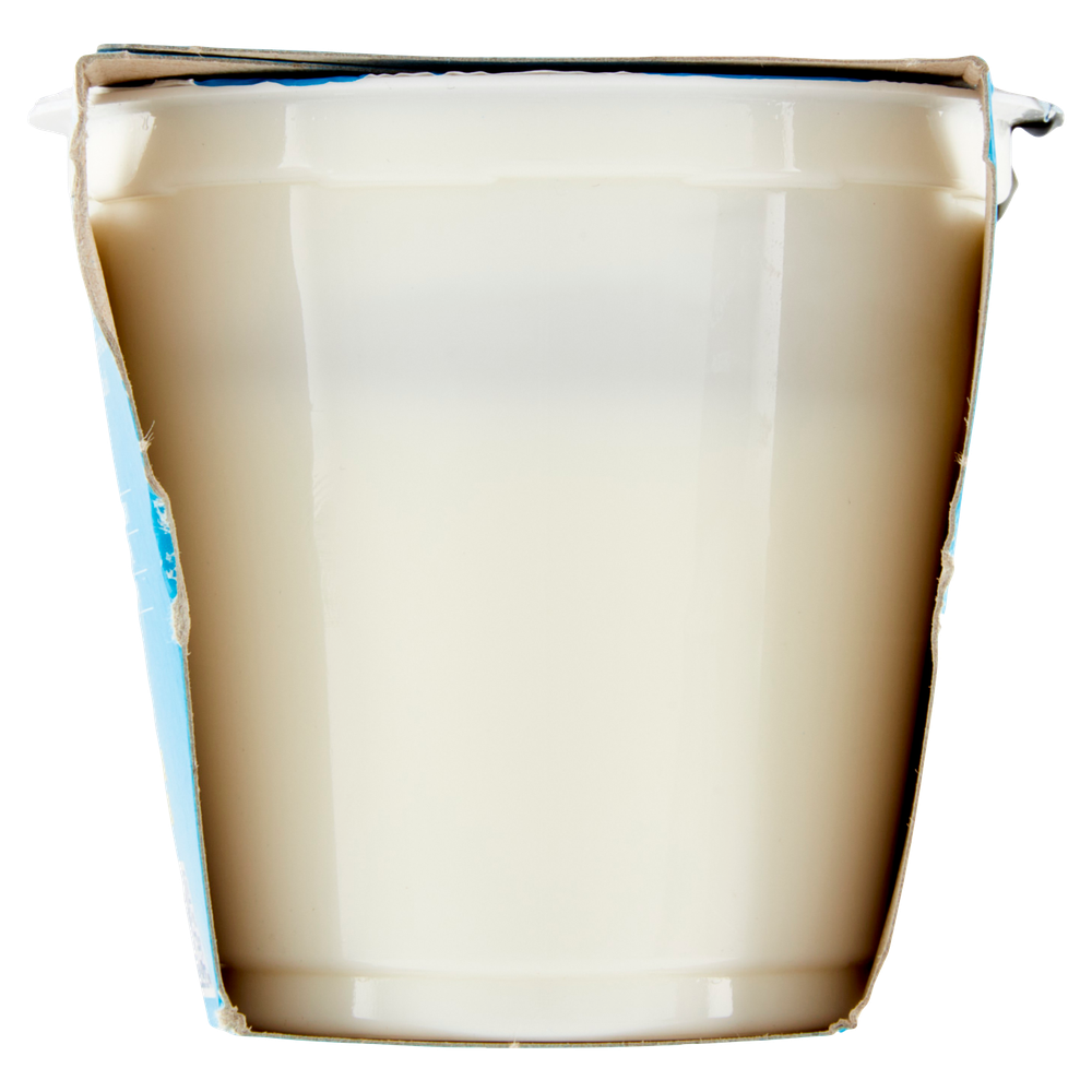 Yogurt Bianco Magro Senza Lattosio Bellavita Merano - Foto 2