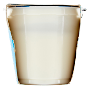 Yogurt Bianco Magro Senza Lattosio Bellavita Merano